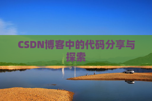 CSDN博客中的代码分享与探索